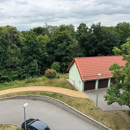 Bozki Apartament קאוצ'ן מראה חיצוני תמונה